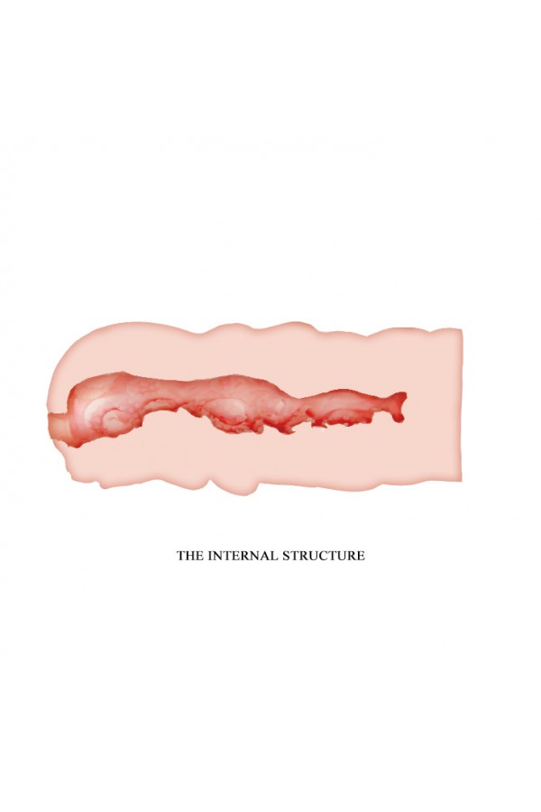 	Vajina Mastürbatör 3 Boyutlu